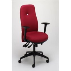 Supporting image for Curvex Ergonomic Chair