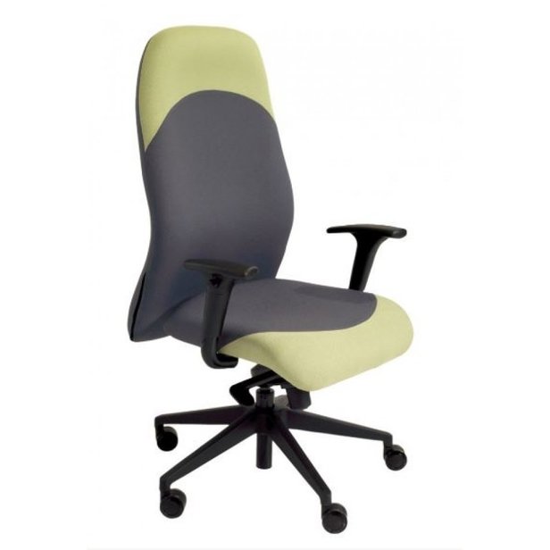 Supporting image for Superb Executive Swivel Chair