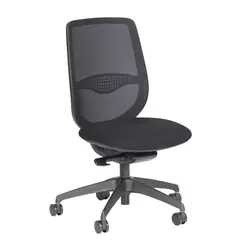 Supporting image for YBV32 - Breathe Chair - Height Adjustable Lumbar Pad