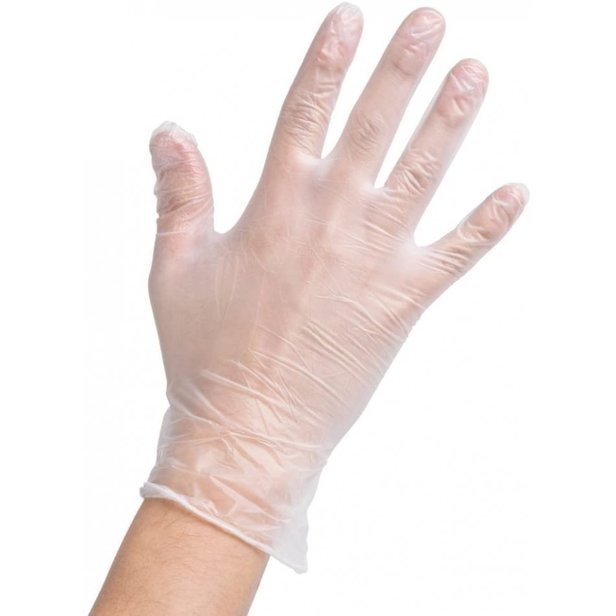 Supporting image for Vinyl Powder Free Gloves 1 x 100