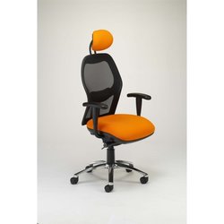 Supporting image for Drift Mesh Back Chair - Headrest and Adjustable Arms