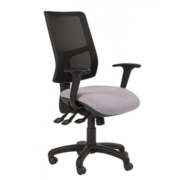 Supporting image for Florida Chair w/folding adjustable arm