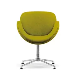 Supporting image for Haze Tub Chair With 4 Star Base
