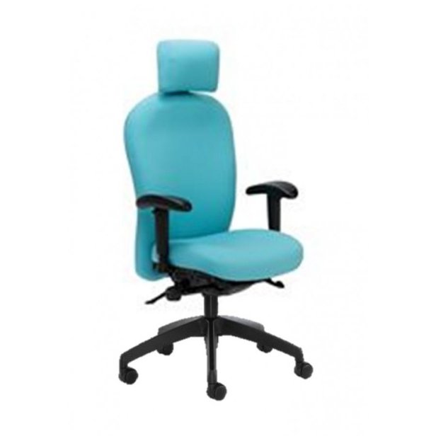 Supporting image for Posture 150 Chair with Adjustable Headrest and Arms